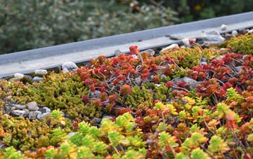 the cost of Shettleston green roof installation