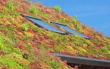 Shettleston living roof systems