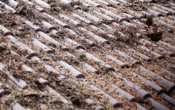 Shettleston roof cleaning companies