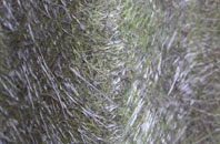 Shettleston fibreglass roof work